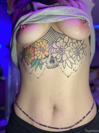 thatkitten2