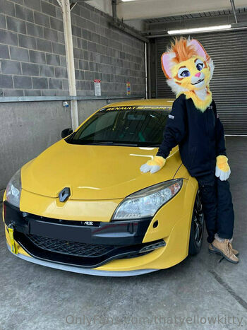 thatyellowkitty