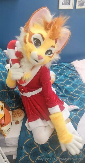 thatyellowkitty