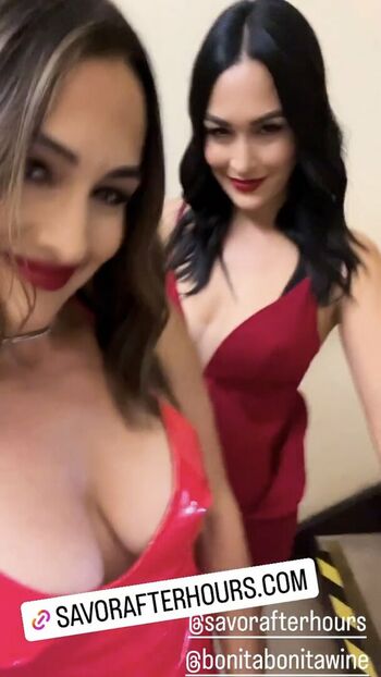 The Bella Twins