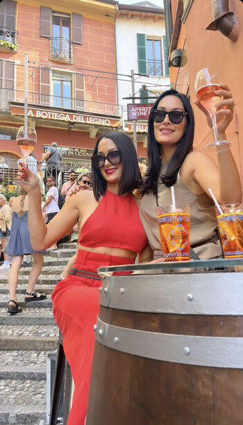 The Bella Twins