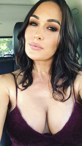 The Bella Twins
