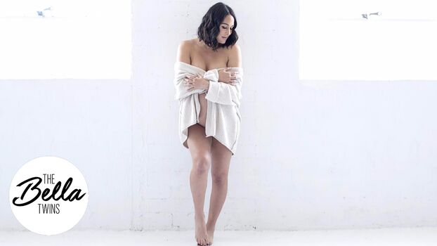 The Bella Twins