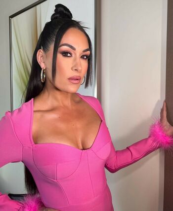 The Bella Twins