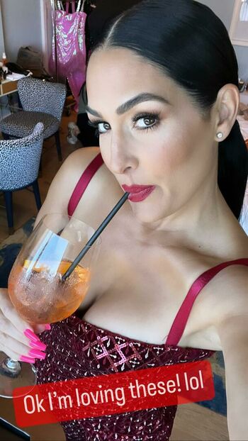 The Bella Twins