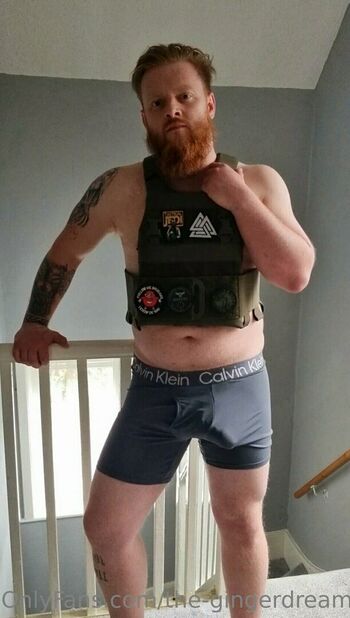 the-gingerdreamsicle