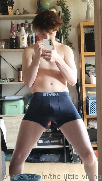 the_little_viking