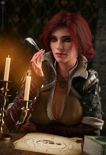 The Witcher