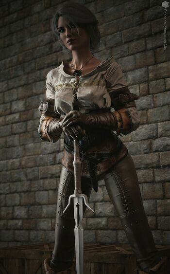 The Witcher