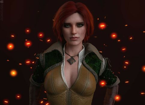 The Witcher