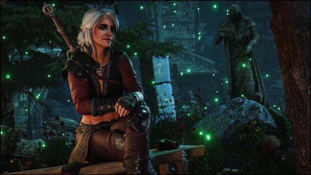 The Witcher