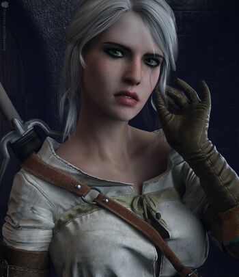 The Witcher
