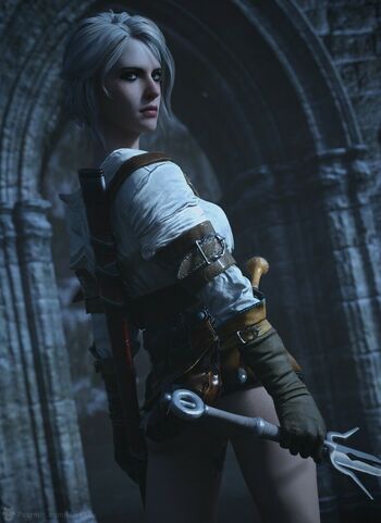 The Witcher