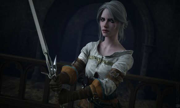 The Witcher