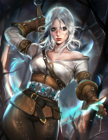 The Witcher