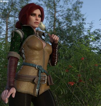 The Witcher