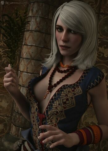 The Witcher
