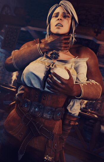 The Witcher
