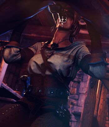 The Witcher