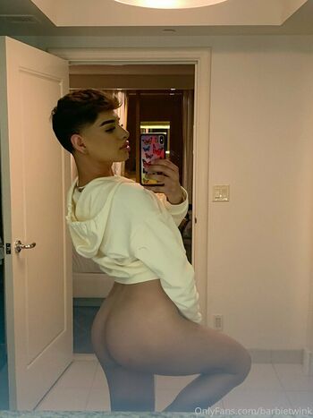 thebarbieetwink
