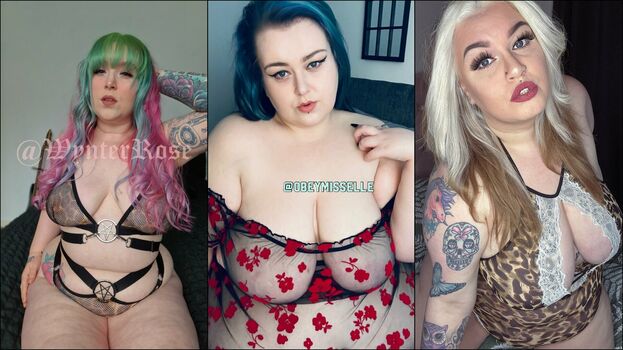 thebbwbible