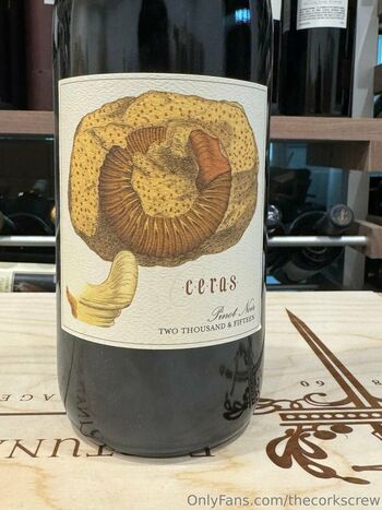 Thecorkscrew