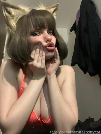 thecutestkittycat