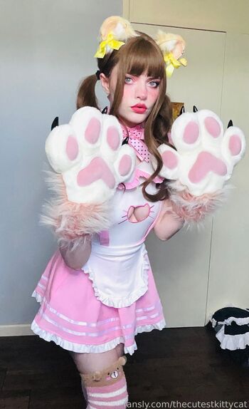 thecutestkittycat
