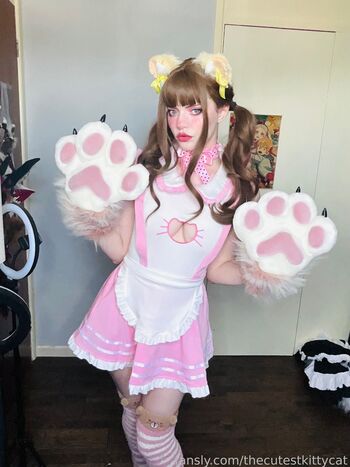 thecutestkittycat