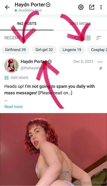 thehaydnporter