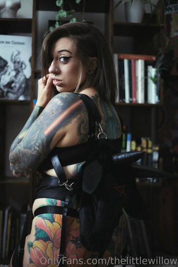 thelittlewillow