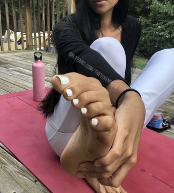 thevixenfiles