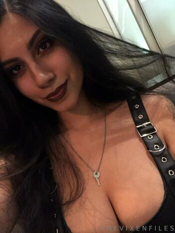 thevixenfiless