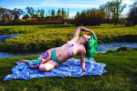 this.is_ariel.shayne