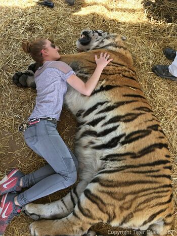 tigerqueen_
