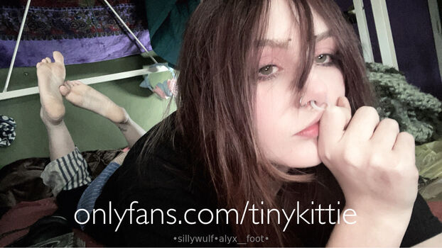 tinykittie