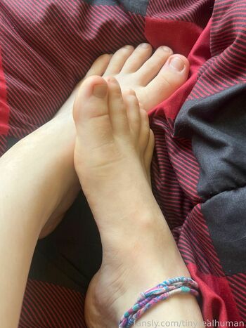 tinyrealhuman