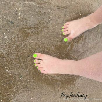 tinytoetracy