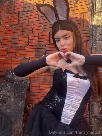 trans_margot