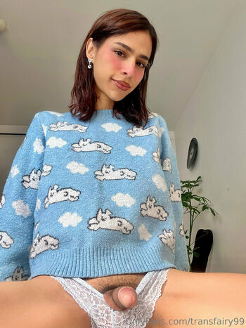 transfairy99
