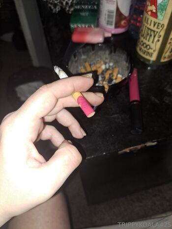 trippykoala425