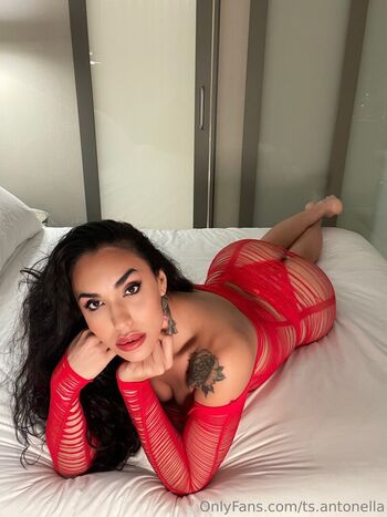 ts_antonella