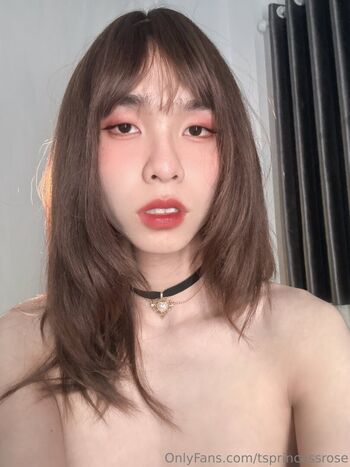 tsprincessrose