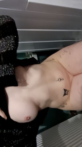 ur_favorite_kitten