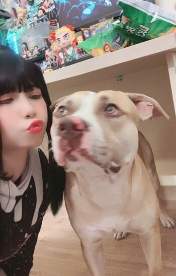 UyUyChan