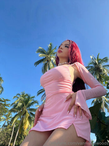 Vannessa Woods