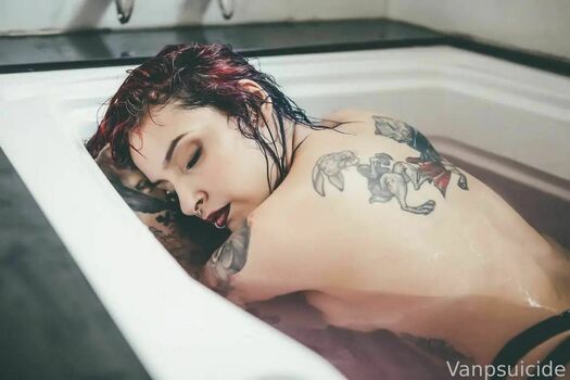 vanpsuicide