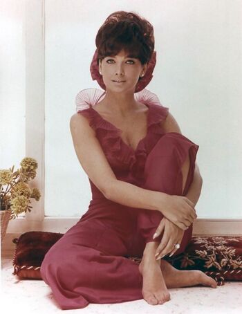 Vintage Sexy Celebs