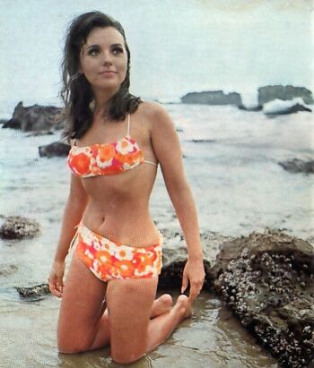 Vintage Sexy Celebs