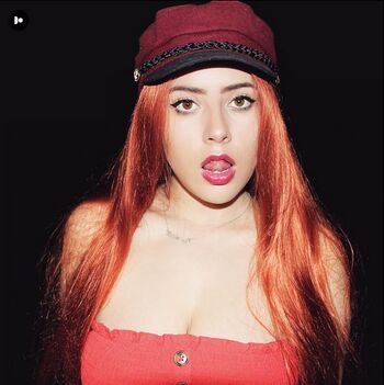 Vivi Alto